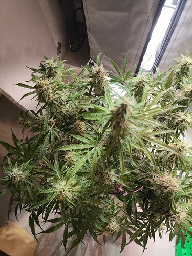 Growreport Bild 16