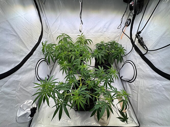 Growreport Bild 1