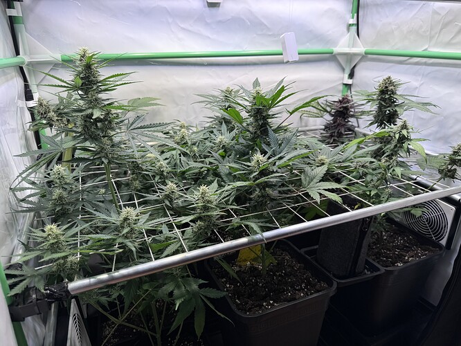 Growreport Bild 15