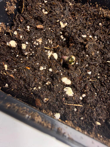 Growreport Bild 18
