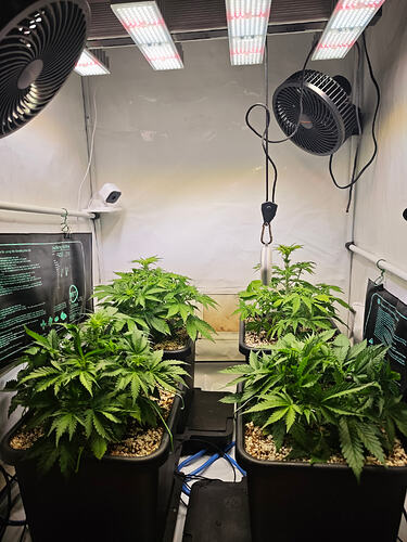 Growreport Bild 4