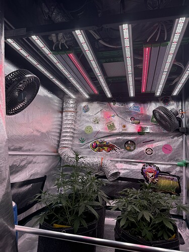 Growreport Bild 3
