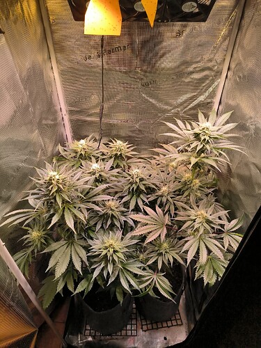 Growreport Bild 10