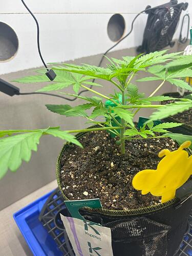 Growreport Bild 10