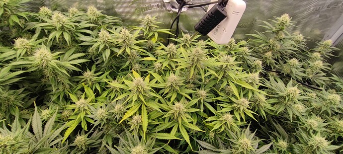 Growreport Bild 23
