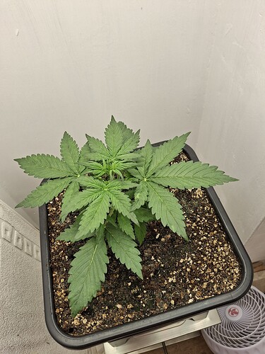 Growreport Bild 26