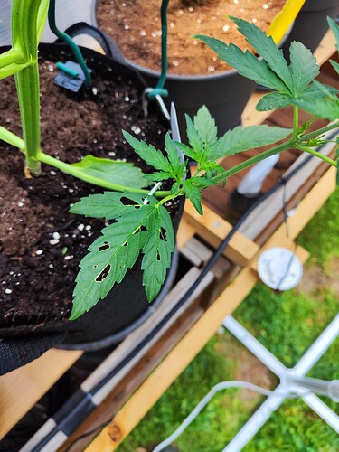 Growreport Bild 9