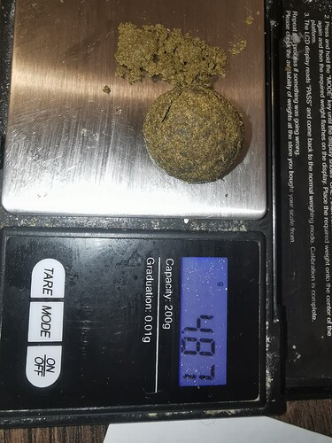 Growreport Bild 12