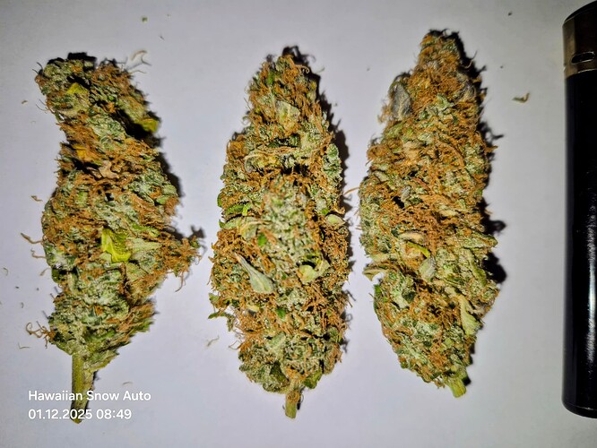 Growreport Bild 10