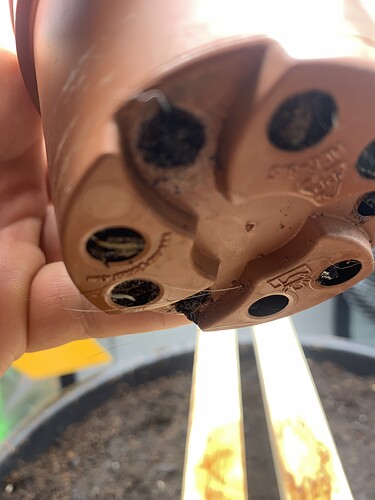 Growreport Bild 1