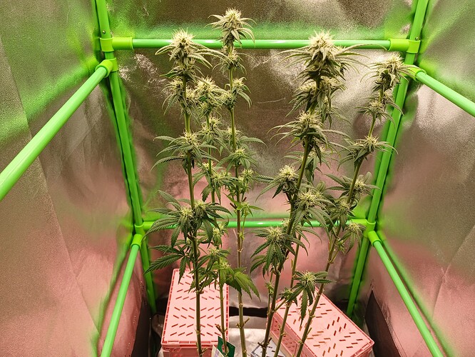Growreport Bild 14