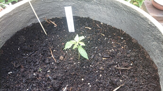 Growreport Bild 9