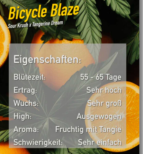 Growreport Bild 2