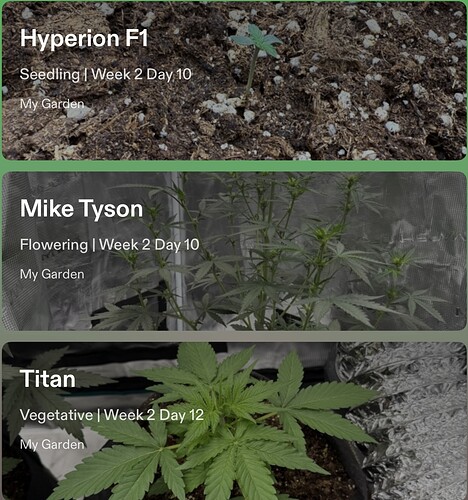 Growreport Bild 22