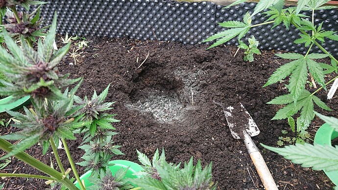 Growreport Bild 3