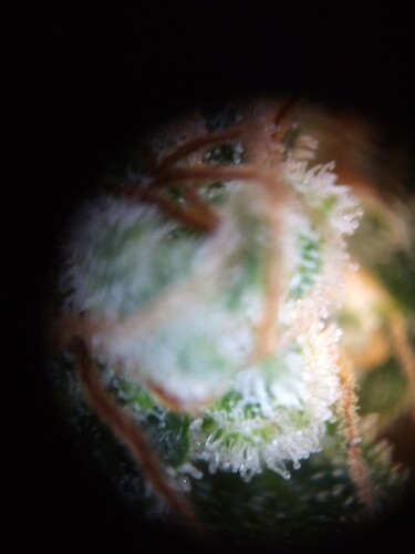 Growreport Bild 26