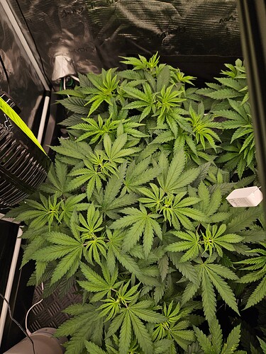Growreport Bild 6