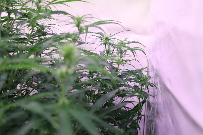 Growreport Bild 10