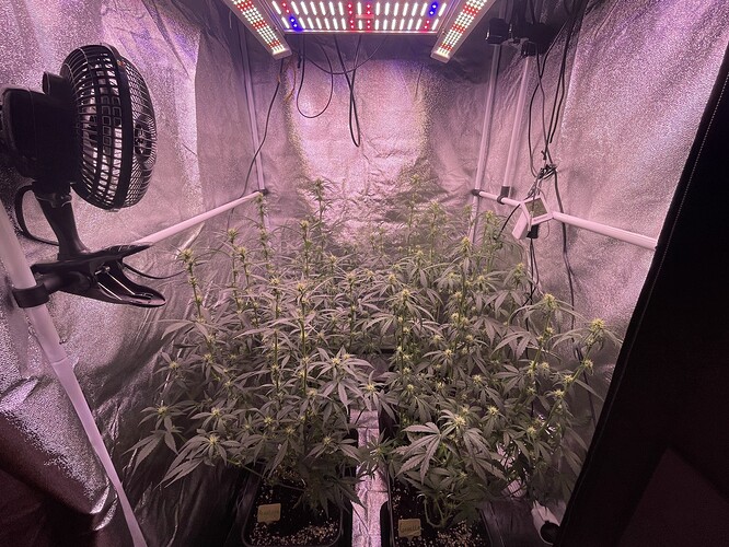 Growreport Bild 13