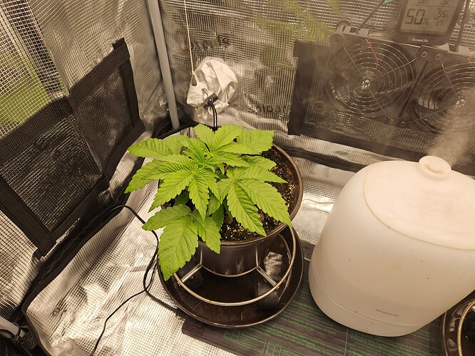 Growreport Bild 15