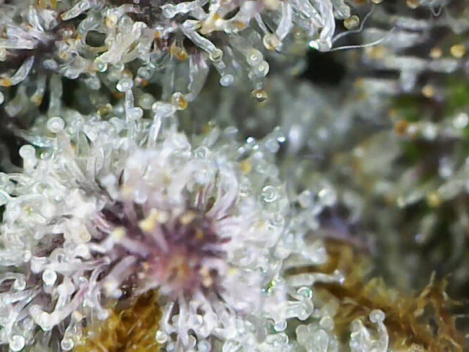 cap_2f4c1369b8e32ccd12d45986cd978a11_00_00_07_02