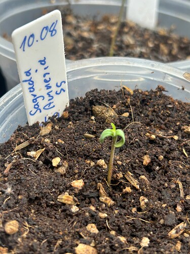 Growreport Bild 12