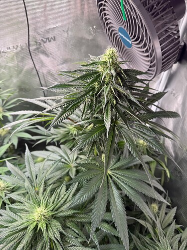 Growreport Bild 16