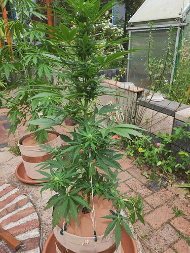 Growreport Bild 10