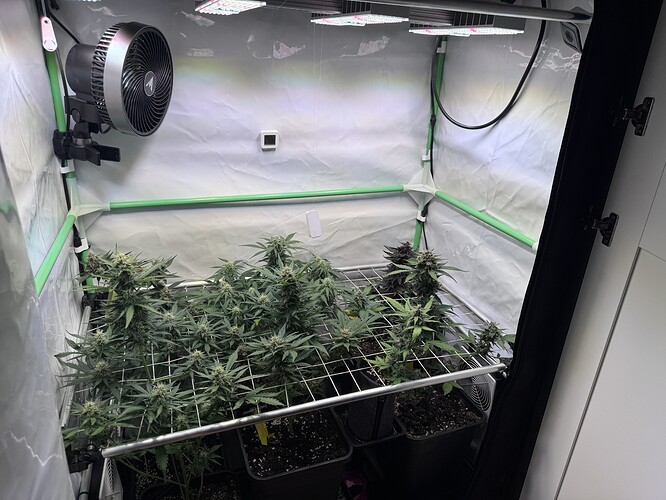 Growreport Bild 40