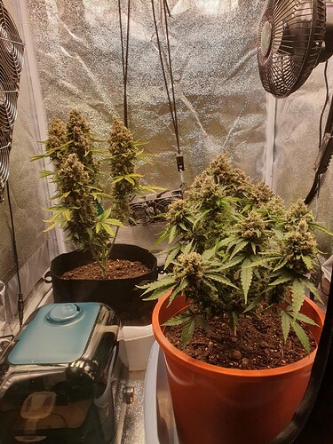 Growreport Bild 20