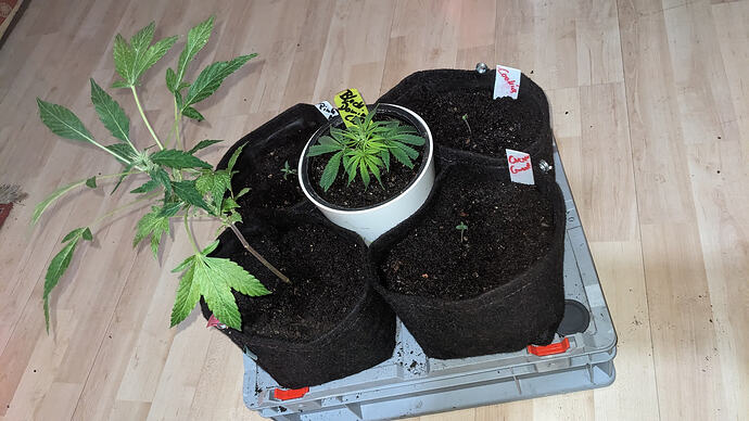 PXL_20260309_124345003