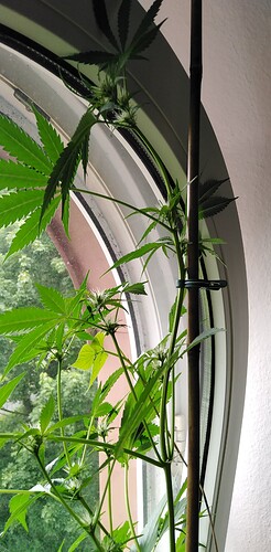 Growreport Bild 5