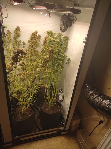 Growreport Bild 7