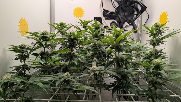 Growreport Bild 12