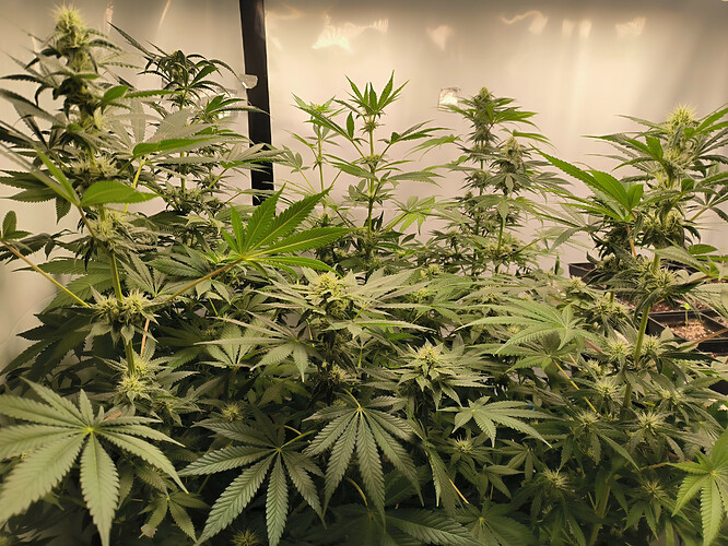 Growreport Bild 12