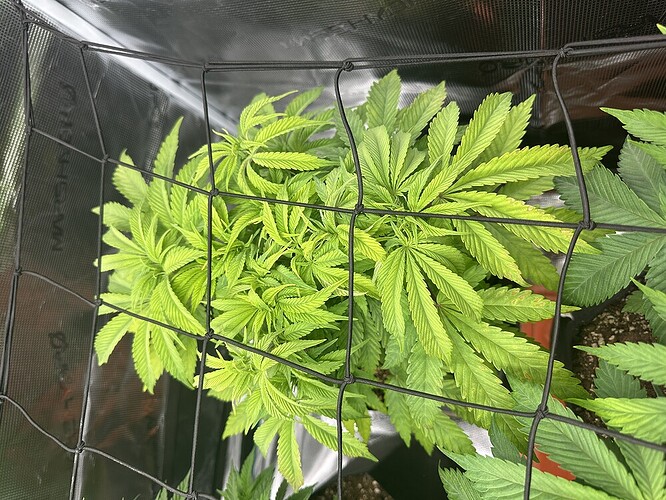 b5de8417ec0069cd9329844252856018b52d3872_2_999x750