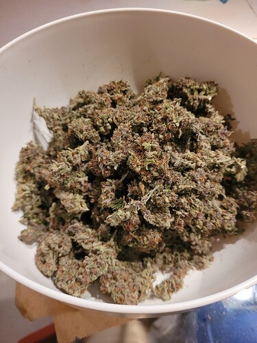 Growreport Bild 14