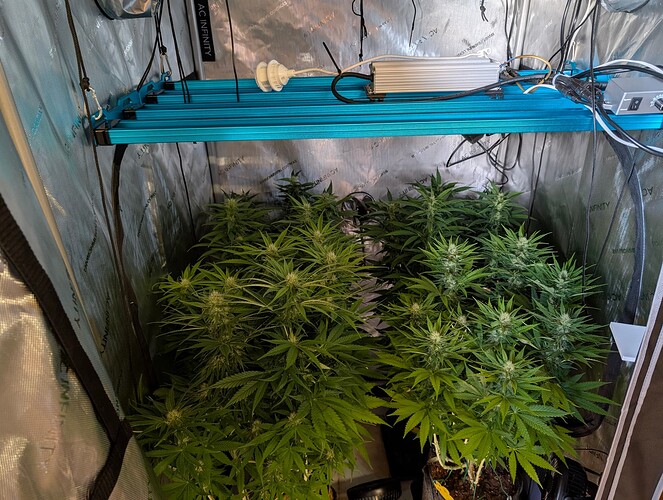 Growreport Bild 1