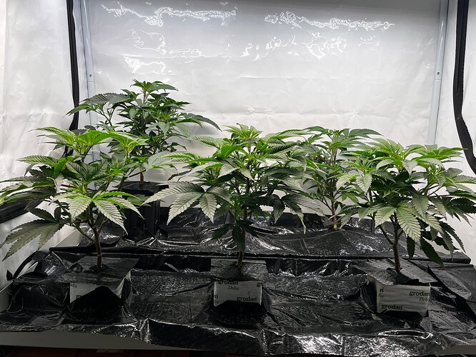 Growreport Bild 26