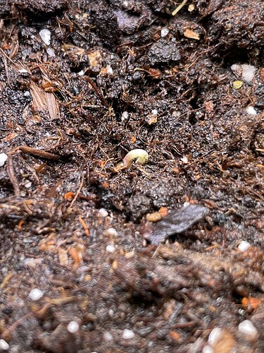 Growreport Bild 14