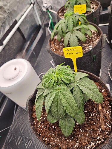 Growreport Bild 14