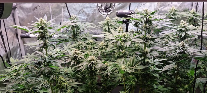 Growreport Bild 12