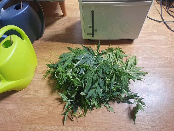 Growreport Bild 6