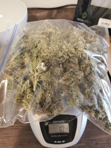 Growreport Bild 4