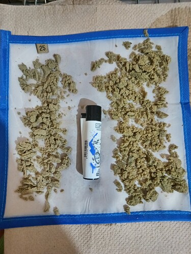 Growreport Bild 4