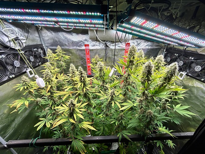 Growreport Bild 2