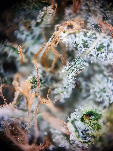 Growreport Bild 2