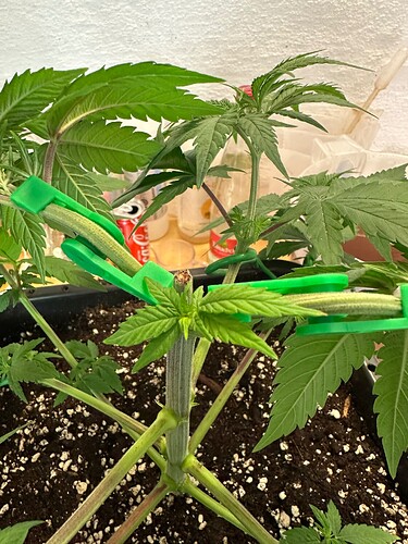 Growreport Bild 21