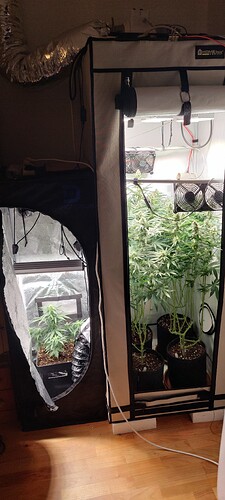 Growreport Bild 6