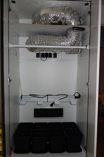 Growreport Bild 3
